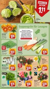 REWE Prospekt - Angebote ab 19.01.