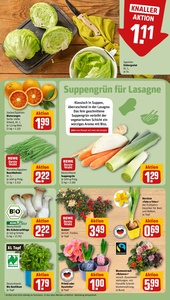 REWE Prospekt - Angebote ab 19.01.