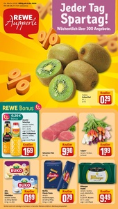 REWE Prospekt - Angebote ab 19.01.