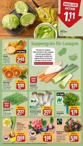 REWE Prospekt - Angebote ab 19.01.