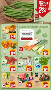 REWE Prospekt - Angebote ab 19.01.