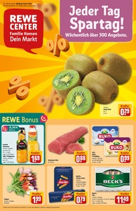 REWE Prospekt - Angebote ab 19.01.