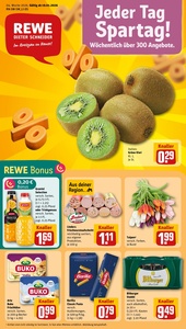 REWE Prospekt - Angebote ab 19.01.