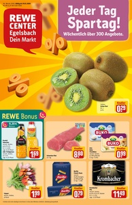 REWE Prospekt - Angebote ab 19.01.