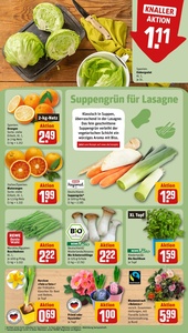 REWE Prospekt - Angebote ab 19.01.