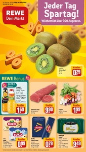 REWE Prospekt - Angebote ab 19.01.
