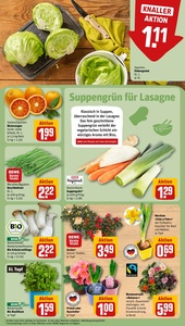 REWE Prospekt - Angebote ab 19.01.