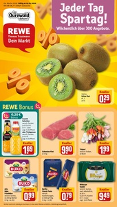 REWE Prospekt - Angebote ab 19.01.