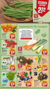 REWE Prospekt - Angebote ab 19.01.