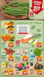 REWE Prospekt - Angebote ab 19.01.