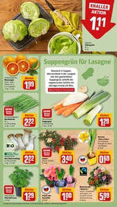 REWE Prospekt - Angebote ab 19.01.