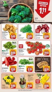 REWE Prospekt - Angebote ab 26.01.