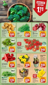 REWE Prospekt - Angebote ab 26.01.