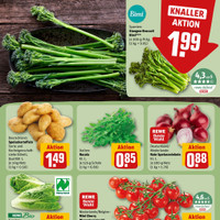 REWE Prospekt Seite 7