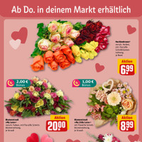REWE Prospekt Seite 13