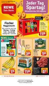 REWE Prospekt - Angebote ab 16.02.