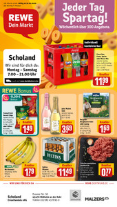 REWE Prospekt - Angebote ab 16.02.