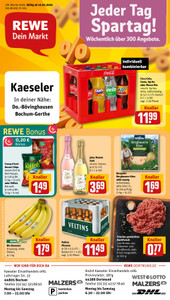REWE Prospekt - Angebote ab 16.02.