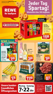 REWE Prospekt - Angebote ab 16.02.