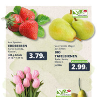 REWE Prospekt Seite 2