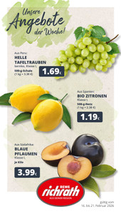 REWE Prospekt - Angebote ab 16.02. - Seite 1