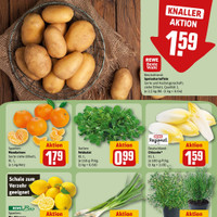 REWE Prospekt Seite 11