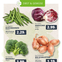 REWE Prospekt Seite 8