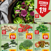 REWE Prospekt Seite 9