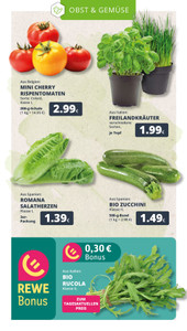 REWE Prospekt - Angebote ab 16.03.