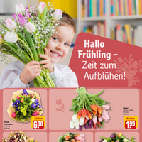 REWE Prospekt Seite 22