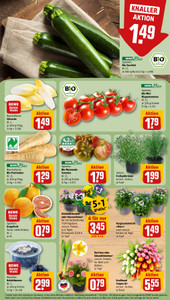 REWE Prospekt - Angebote ab 16.03.