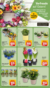 REWE Prospekt - Angebote ab 16.03.