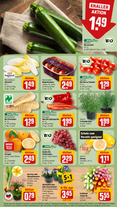 REWE Prospekt - Angebote ab 16.03.