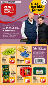 REWE Prospekt - Angebote ab 23.03.