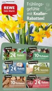 REWE Prospekt - Angebote ab 07.04.