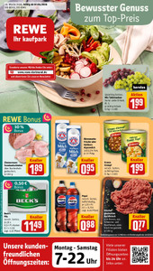 REWE Prospekt - Angebote ab 07.04.