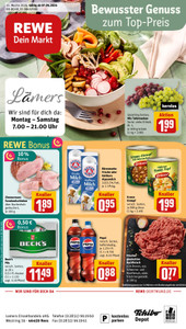 REWE Prospekt - Angebote ab 07.04.