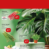 REWE Prospekt Seite 3