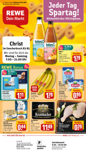 REWE Prospekt - Angebote ab 20.04.