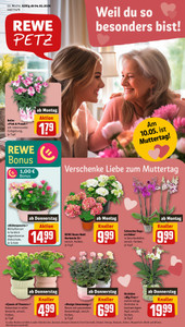 REWE Prospekt - Angebote ab 04.05.