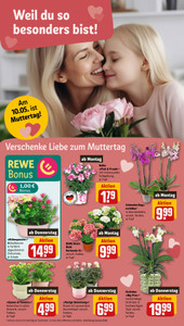 REWE Prospekt - Angebote ab 04.05.