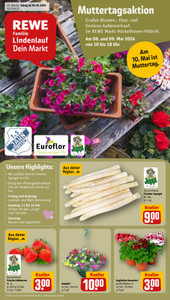 REWE Prospekt - Angebote ab 04.05. - Seite 1