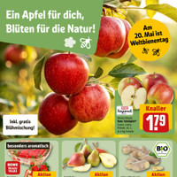 REWE Prospekt - Obst & Gemüse