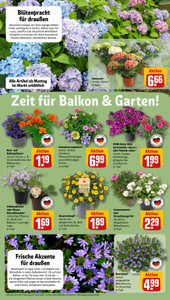 REWE Prospekt - Angebote ab 11.05.