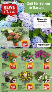 REWE Prospekt - Angebote ab 11.05.