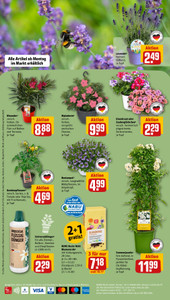 REWE Prospekt - Angebote ab 11.05. - Seite 2