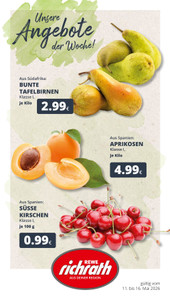 REWE Prospekt - Angebote ab 11.05.