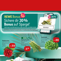 REWE Prospekt Seite 3