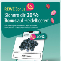 REWE Prospekt Seite 3