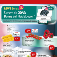 REWE Prospekt Seite 3